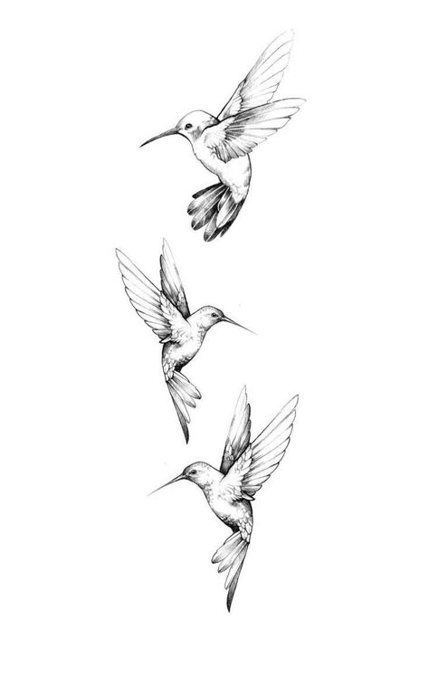 humming bird tattoo - The House of Beauty Back Tattoo Birds Women, 4 Hummingbird Tattoo, Humming Birds Drawing, Hummingbird Mother Daughter Tattoos, Humming Bird Shoulder Tattoos For Women, Two Hummingbird Tattoo Design, Hummingbird Tattoo Placement Ideas, Micro Hummingbird Tattoo, Three Hummingbirds Tattoo