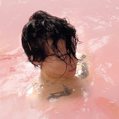 Harry Styles Debut, Harry Styles Album Cover, Dani California, Harry Eras, Delicate Point Of View, Harry Aesthetic, Harry Core, Harry Styles Aesthetic, Album Aesthetic