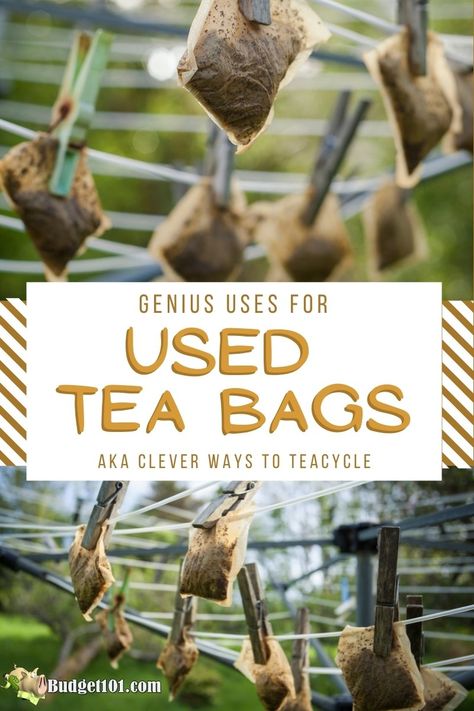 Art With Tea Bags, Crafts With Tea Bags, What To Do With Used Tea Bags, What To Do With Used Tea Leaves, How To Make Your Own Tea Bags, What To Do With Tea Bags, Uses For Used Tea Bags, How To Store Tea Bags, Used Tea Bags Art