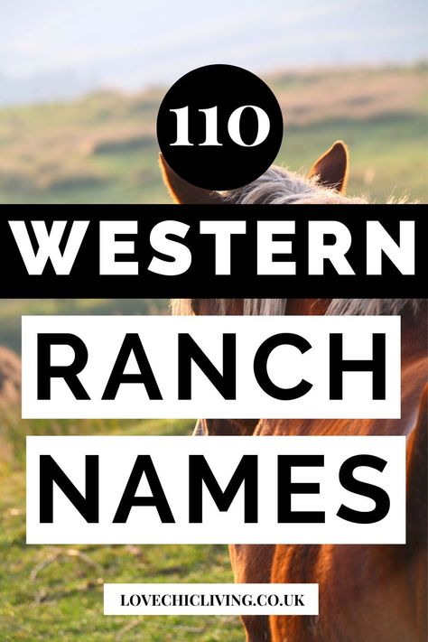 Need a name for your new ranch business? Never fear we have some very cool, badass, western, cattle ranch names and so many more. If your farm business, or ranch property needs a new identity, try out ranch name generator too. Cute Show Steer Names, Western Store Names Ideas, Western Hair Salon Names, Western Names For Business, Western Salon Names, Country Business Names, Show Steer Names, Church Names Ideas, Western Business Names