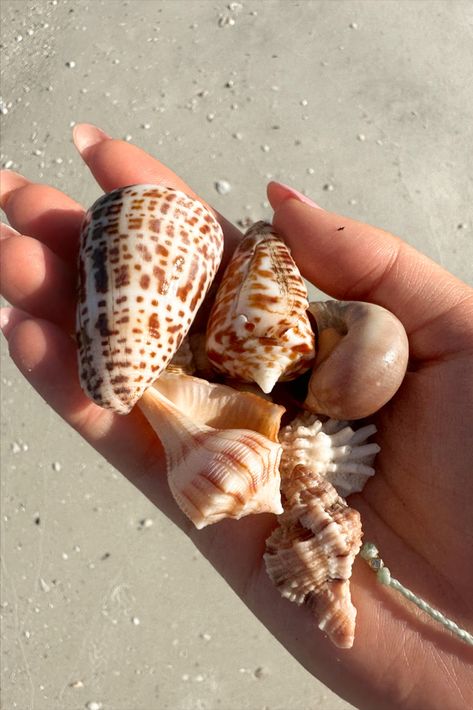 Awsthetic Beach Girl, Insta Inspo Beach, Beach Astethic Girl, Summer Beach Day Aesthetic, Girls Girl Aesthetic, My Summer Aesthetic, Clean Girl Beach Aesthetic, Beach Days Aesthetic, Good Days Aesthetic