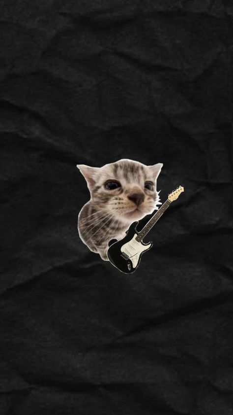 rockstar cat pfp/wallpaper Rockstar Cat, Cute Backrounds, Cat Pfp, Cute Icons, Pretty Wallpapers, Cute Wallpapers, Cute Cats, Phone Wallpaper, Band