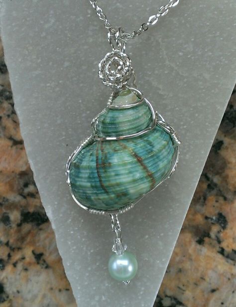 Shell with silver by Renee Ann Seashell Wire Jewelry, Seashell Wire Wrap, Mermaid Inspired Clothes, How To Wire Wrap Shells, Metkayina Jewelry, Handmade Seashell Jewelry, Sea Shell Necklace Aesthetic, Sea Shell Jewelry Ideas, Wire Wrapped Shell Jewelry