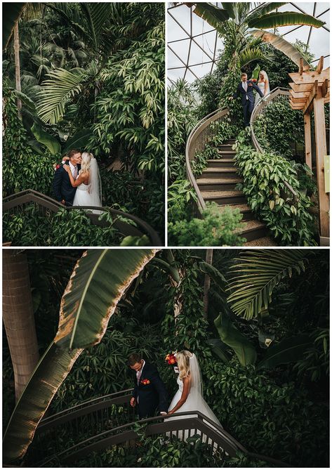 Botanical Garden Wedding Dress, Wedding Botanical Garden, Wedding Garden Photography, Wedding In Botanical Garden, Wedding Photography Garden, Botanical Garden Wedding Ceremony, Leach Botanical Garden Wedding, Des Moines Botanical Garden Wedding, Wedding Venues Garden