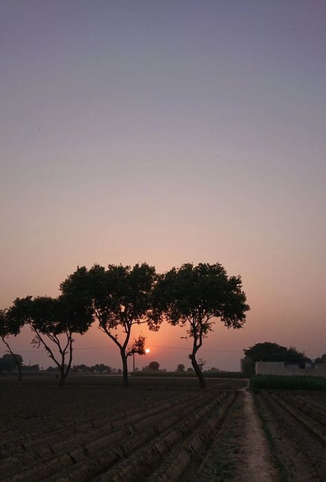 Sunset view by @iamosamach Farm Village Aesthetic, Village Snapchat Story, Village Life Photography, Village Snap, Village Pic, Nature Edits, Sunset Village, Room Snapchat, Farm Village