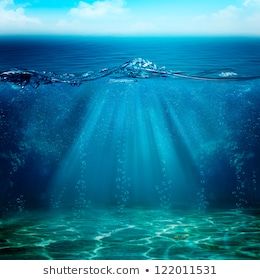 Ocean Scene Images, Stock Photos & Vectors | Shutterstock Abstract Underwater, Iphone Wallpaper Quotes Inspirational, Underwater Background, Marine Landscape, Underwater Scene, Water Sea, Scene Image, Ocean Scenes, Beach View