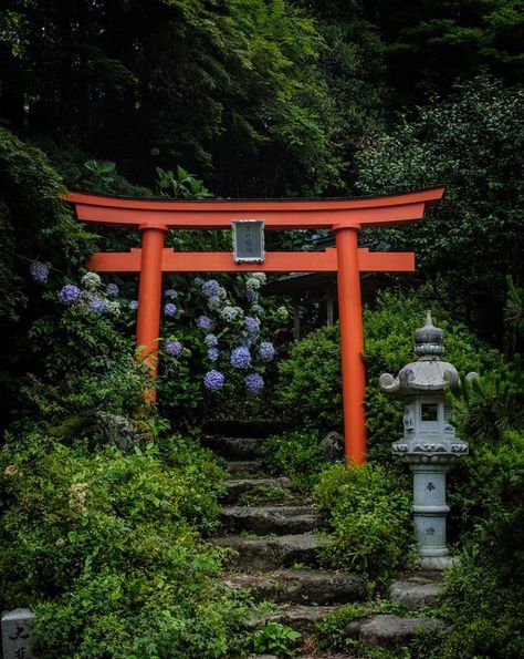 Japanese Gate, Japanese Forest, Japanese Shrine, Japan Landscape, Torii Gate, Japanese Temple, Japanese Garden Design, Japanese Landscape, Japan Aesthetic