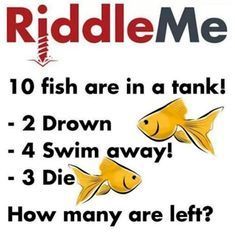 12 Impossible Riddles That Will Confuse Your Brain - Mind Game | Funny riddles, Tricky riddles, Riddles to solve Impossible Riddles With Answers, Impossible Riddles, Confusing Questions, Tricky Riddles With Answers, Tricky Riddles, Quiz Questions And Answers, Metal Tree Wall Art, 22 Words, Mind Tricks