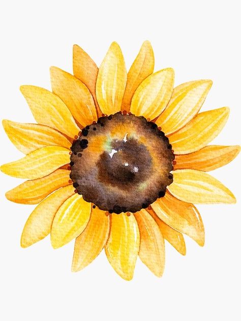 Sunflower Watercolor Painting, Watercolor Sunflowers, Sunflower Drawing, Sunflower Wallpaper, Watercolor Paintings Easy, Sunflower Art, Sunflower Painting, Watercolor Sunflower, Watercolor Inspiration