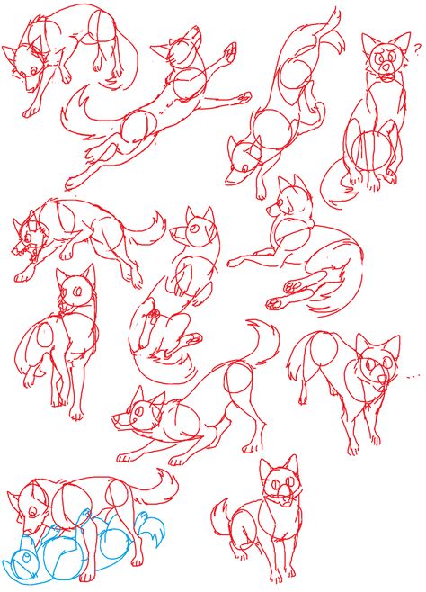 Canine Poses by Spakitty.deviantart.com on @DeviantArt Animal Poses Reference, Ako Kresliť, Animal Poses, Wolf Poses, Wolf Sketch, Canine Drawing, Fox Drawing, Dog Poses, 강아지 그림