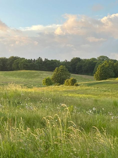 Grassy Fields Aesthetic, Aesthetic Landscape Photography, Garden Pictures Aesthetic, Green Fields Aesthetic, Farm Field Aesthetic, Natural Green Aesthetic, Summer Landscape Aesthetic, Big Field Aesthetic, Summer Meadow Aesthetic