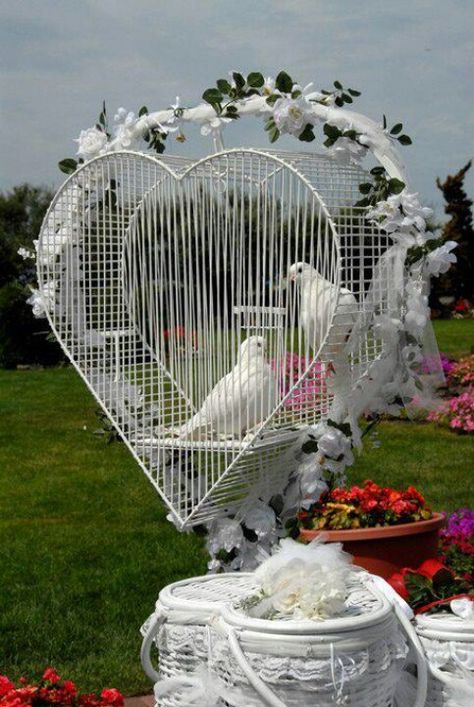 A beautiful wedding display! The heart shaped baskets hold the doves ready for release! Dove Release, Wedding Doves, White Birds, Bird Wedding, Bird Cage Decor, Long Island Ny, Bird Cages, White Doves, White Bird