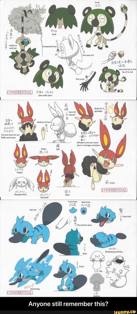 Anyone still remember this? – popular memes on the site iFunny.co Fakemon Starters Evolution, Fanmade Pokemon Starters, Pokemon Fanmade Starters, Gen 8 Pokemon, New Pokemon Starters, Pokemon Fanmade, Fan Pokemon, Pokémon Ideas, Fanmade Pokemon