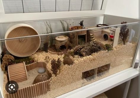 Hamster Cage Design, 75 Gallon Hamster Tank, Good Hamster Cage, Proper Hamster Cage, Tank Hamster Cage, Crochet Hamster House, Syrian Hamster Cage Ideas, Hamster Cage Inspiration, Pets To Get