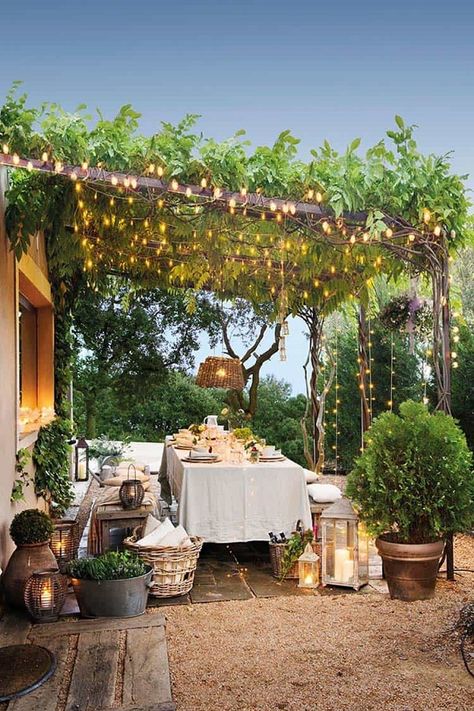 Decorate your pergola with one of the best outdoor room pergola design ideas. Along with vines, add fairy lights to the pergola for creating a magical space. Use large plants in different types of pots. Balcony Patio, Pergola Lighting, Plants Outdoor, Outdoor Balcony, Covered Pergola, Have Inspiration, Pergola Patio, Pergola Designs, Palau