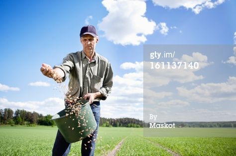 Stock Photo : Farmer sowing seeds in field Seed Starting, Emergency Preparedness, Sowing Seeds, School Murals, Starting A Garden, Free Stock Photos Image, Survival Prepping, High Resolution Photos, Garden Seeds