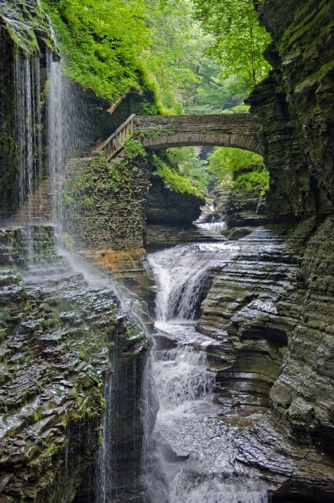 Wilderness Therapy, Watkins Glen State Park, Watkins Glen, A Bridge, Pretty Places, Safe Place, Over It, Vacation Spots, Dream Vacations