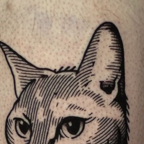 Pet Cat Tattoo Ideas, Etching Tattoo Style, Etched Tattoo Style, Tattoo Etching Style, Wood Etching Tattoo, Cat With Knife Tattoo, Linework Cat Tattoo, Two Headed Cat Tattoo, Engraving Tattoo Linework