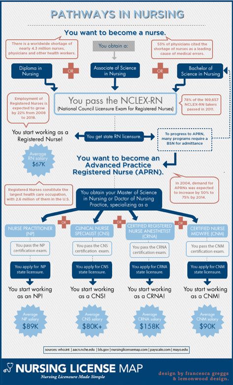 There are so many pathways in nursing and thousands of things you can do with a nursing degree. Is one path to a nursing career better than another? Nursing Infographic, Nursing School Scholarships, Nurse Practitioner School, Nursing School Prerequisites, Nursing License, Nurse Anesthetist, Best Nursing Schools, Becoming A Nurse, Nursing School Tips