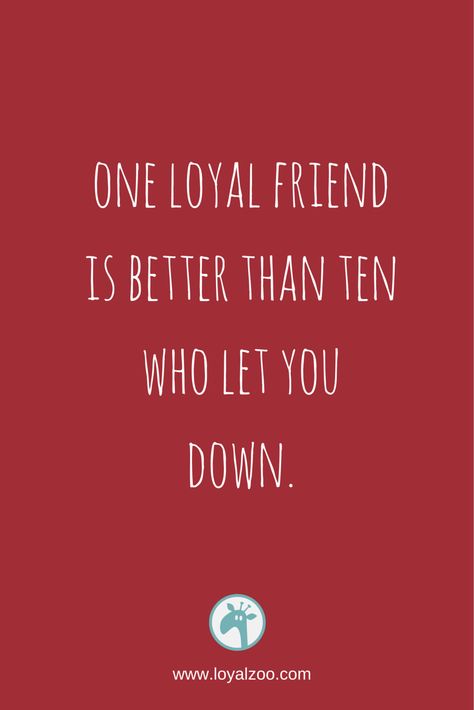 Friends Who Let You Down, Let You Down, Loyal Friends, Real Friends, Guide Book, Funny Facts, Good Advice, Fun To Be One, True Quotes