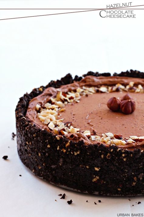 Chocolate Hazelnut Cheesecake, Hazelnut Cheesecake, Chocolate Chip Brownies, Hazelnut Chocolate, Oreo Recipes, Chocolate Party, Chocolate Cheesecake, Chocolate Hazelnut, Chocolate Baking