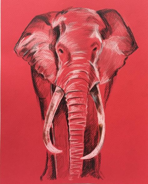 The ever so majestic mammal : The Elephant. Black and White color pencils on a red sheet Colour Pencil Art, Elephant Black And White, Pencil Shading, Colour Pencil, The White Stripes, Color Pencils, Bowling Ball, Black And White Color, Color Pencil Art