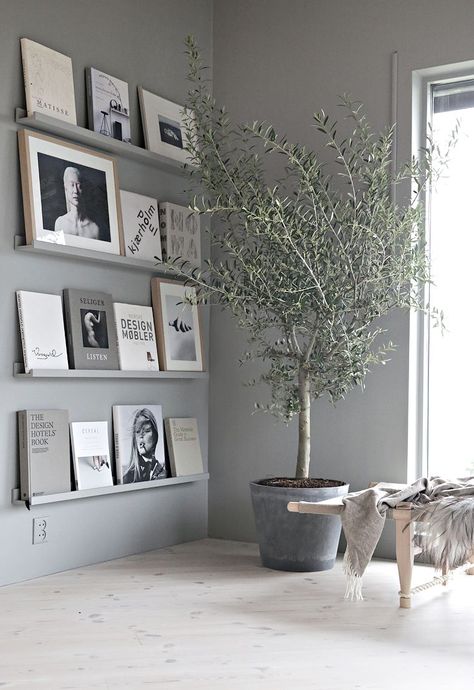 Scandi Style Living Room, Furnitur Ruang Keluarga, Pastel Interior, Living Room Scandinavian, Scandinavian Living, Olive Tree, Room Paint, Apartment Living Room, Small Living Rooms