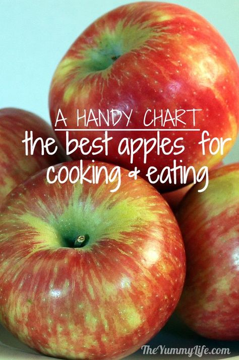 Comparing Apples to Apples -- a chart to help you choose the best ones for eating and cooking! Applesauce and apple butter and apple pie and... lots of apples! :) Best Apples To Eat, Best Cooking Apples, Apple Chart, Fruit Sides, Canning Jelly, Applesauce Recipes, Cooking Charts, Cooking Apples, Apple Facts