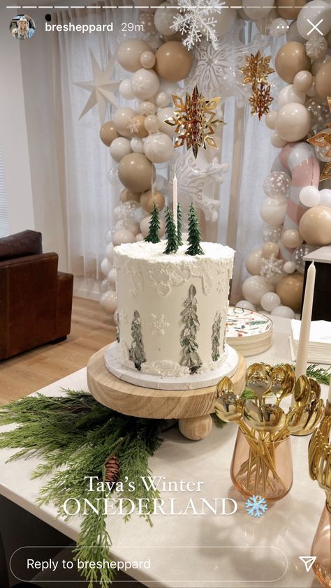 Neutral Christmas Party Decor, It’s The Most Onederful Time Of The Year, Most Onederful Time Of The Year Birthday, Winteroneder Land Theme Party, Winterland Birthday Party, Winter Onederland First Birthday, Winter Themed Birthday Party, Winter First Birthday Themes, Winter Birthday Party