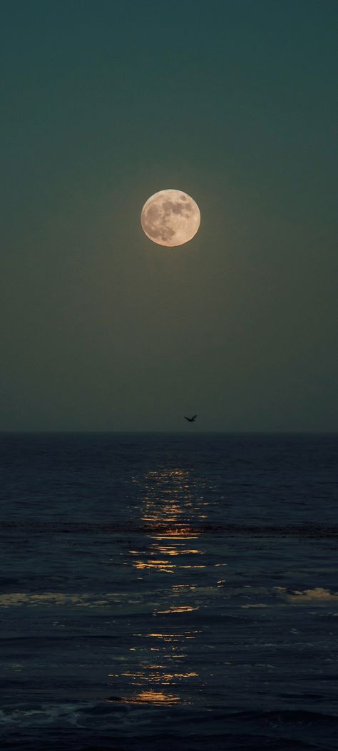 Moonlight reflection over sea Captured by: Gabriel Tovar. cropped mobile wallpaper 1080x2400 Moon Above The Sea, Full Moon Over Ocean, Moon At Daytime, Moon And Sea Wallpaper, Selenophile Aesthetic Wallpaper, Selenophile Aesthetic, Moon On Water, Madi Core, Ocean And Moon