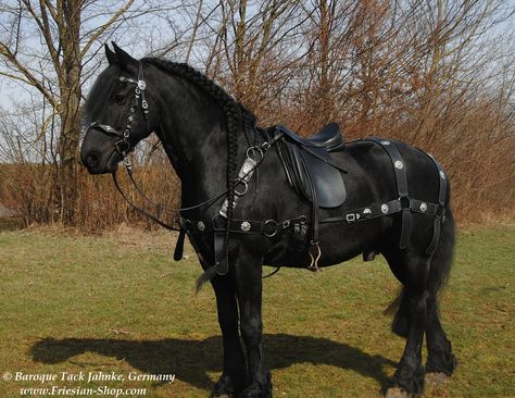 Medieval Saddle, Victorian Horse, Medieval Horse, Horse Costumes, Horse Armor, Horse Gear, Black Horses, Most Beautiful Horses, Friesian Horse