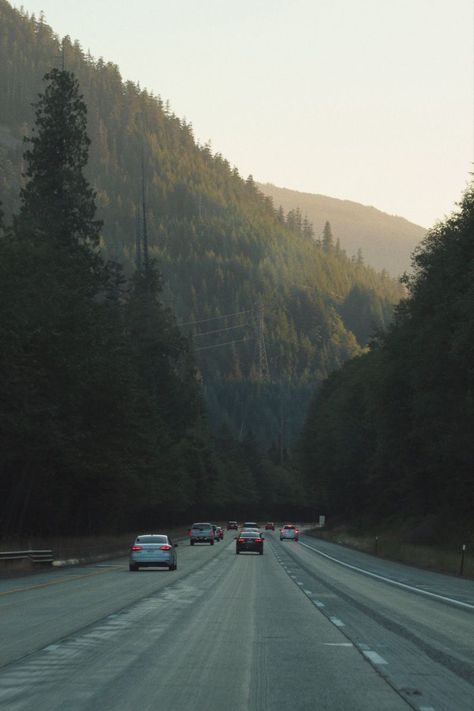 Forest Drive Aesthetic, Road Trip Aesthetic Mountains, West America Aesthetic, Nature Adventure Aesthetic, Mountain Drive Aesthetic, Midwest College Aesthetic, Seattle Living Aesthetic, Adventure Asethic, Road-trip Aesthetic