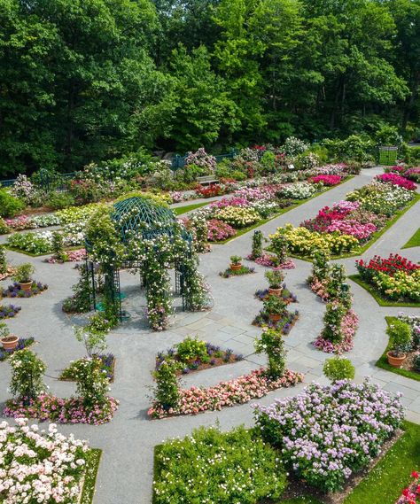 5 design tips to steal from The New York Botanical Garden | Homes & Gardens Home Botanical Garden, New York Botanical Garden Wedding, Botanical Garden Aesthetic, Garden Homes, Venue Design, Architectural Plants, New York Botanical Garden, Outdoor Mirror, Plant Display