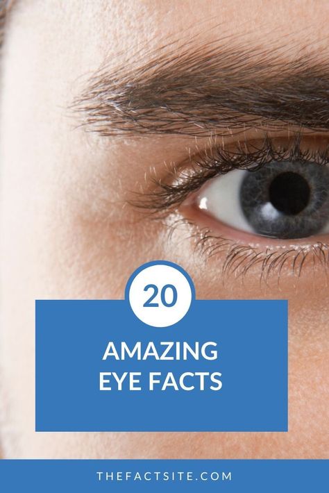 20 Amazing Eye Facts Facts About Blue Eyes, Remedies For Itchy Eyes, Facts About Eyes, Blue Eye Facts, Eye Color Facts, People With Blue Eyes, Body Facts, Eye Facts, Eye Anatomy