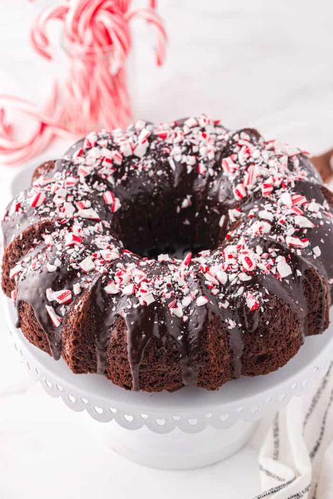 Chocolate Peppermint Bundt Cake - The Suburban Soapbox Peppermint Chocolate Bundt Cake, Christmas Chocolate Bundt Cake, Chocolate Peppermint Bundt Cake, Peppermint Bundt Cake, Chocolate Peppermint Cake, Peppermint Cake, Holiday Cake, Cake Storage, Christmas Desserts Easy