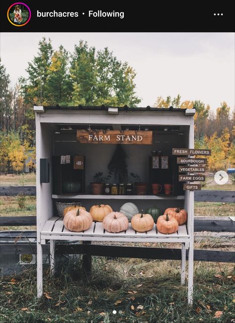 Farm Market Ideas, Outdoor Library, Farmers Market Stand, Farmers Market Display, Farm Flowers, Vegetable Stand, Eggs For Sale, Pumpkin Stands, Vegetable Farming