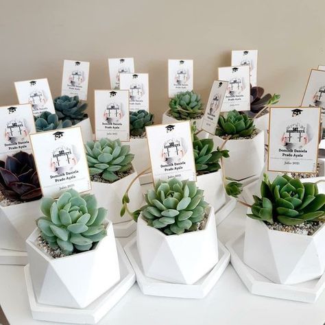 [Ad] Discover The Beauty Of Succulent Plant Return Gifts For Weddings. With These Succulent Plants, You Are Not Only Gifting A Unique And Stylish Present But Also Offering Your Guests A Lasting Reminder Of Your Special Day. #uniqueweddingfavorsforguests Return Gift Plants, Wedding Thank You Gifts For Guests Diy, Unique Souvenir Ideas, Wedding Favor Ideas Unique, Wedding Souvenirs For Guests, Wedding Giveaways, Return Gifts, Return Gift, Gift For Wedding