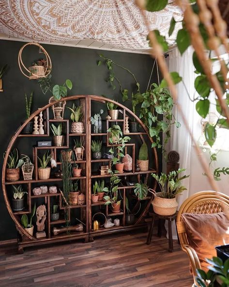 Garden Ideas Indoor, Indoor Garden Apartment, Window Plant Shelf, Indoor Plant Display, Plant Display Ideas, Indoor Plant Wall, Garden Apartment, Window Plants, Garden Vegetables