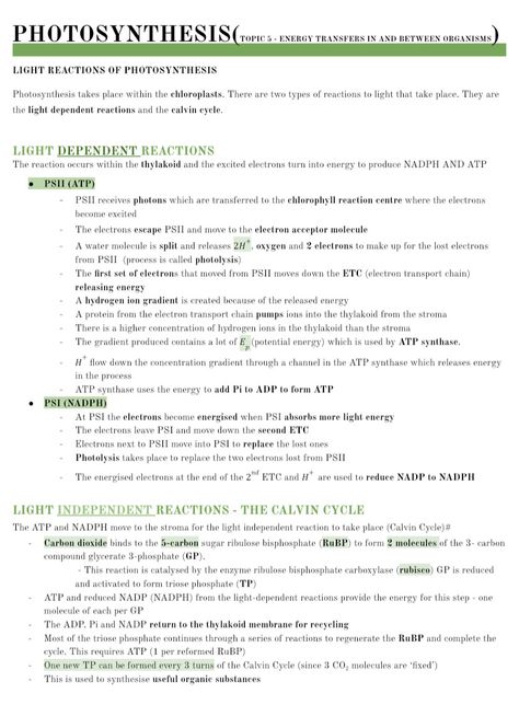 A Level Biology Photosynthesis, Ap Bio Photosynthesis Notes, Photosintesis Notes, Photosynthesis Notes Biology, Aqa A Level Biology, A Level Biology Notes Aqa, Photosynthesis Notes Aesthetic, Biology Photosynthesis Notes, Biology Notes Photosynthesis