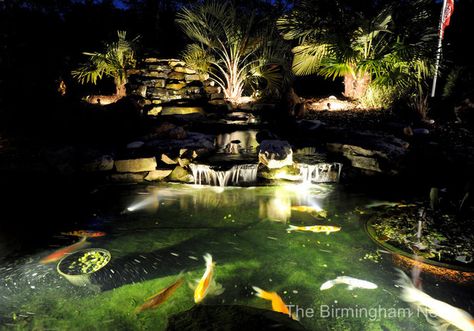 Pond Lighting, Building A Pond, Koi Ponds, Fountains Backyard, Pond Filters, Pond Liner, Pond Landscaping, Backyard Water Feature, Natural Pond