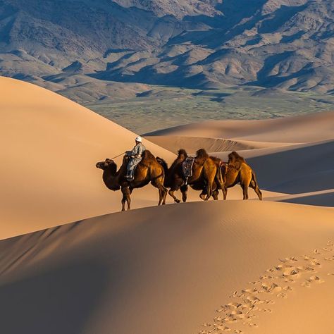 Gobi Desert Mongolia, Silk Road Aesthetic, Mongolian Aesthetic, Mongolia Aesthetic, Mongolia Landscape, Russia Landscape, Pamir Mountains, Gobi Desert, Road Trip Europe