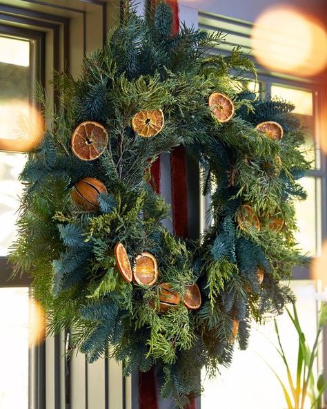 Dried Citrus Wreath, Juniper Wreath, Citrus Wreath, Yule Crafts, Dried Citrus, Fresh Wreath, Orange Wheels, Decorated Wreaths, Orange Wreath