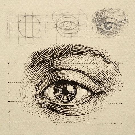 Online Workshop: Ink Illustration (July 15, 2023) – Tri Shiba Eye Step By Step, Hatch Drawing, Scratchboard Illustration, Ink Drawing Techniques, Ink Pen Art, Engraving Art, Human Anatomy Art, Engraving Illustration, Ink Illustration