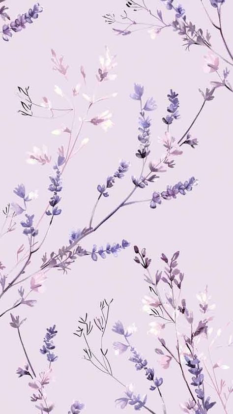 80 Lavender Aesthetic Wallpapers for a Soothing Phone Background (Plant & Color) - The Mood Guide Phone Wallpaper Lavender Aesthetic, Wallpaper Backgrounds Aesthetic Lavender, Phone Backgrounds Lavender, Lavender Asthetics Wallpaper, Asethic Wallpaper Purple, Ipad Background Aesthetic Purple, Lavander Aethstetic Wallpaper, Dusty Lavender Aesthetic, Wallpaper Lavender Aesthetic