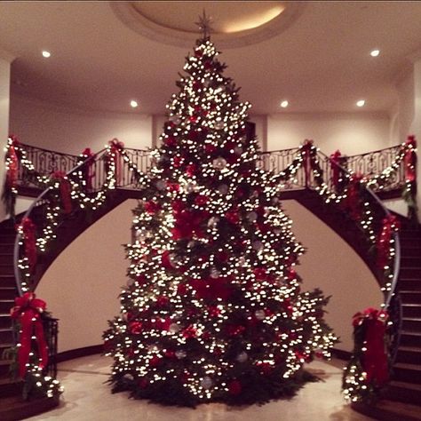 Breathtaking! Kris Jenner postd this Instagram on Tuesday of her beautiful Christmas tree standing tall in the foyer of her home Celebrity Christmas, Christmas Tree Tops, Fun Christmas Decorations, Christmas Tree Stand, Beautiful Christmas Trees, Kris Jenner, Noel Christmas, Christmas Love, Christmas Joy