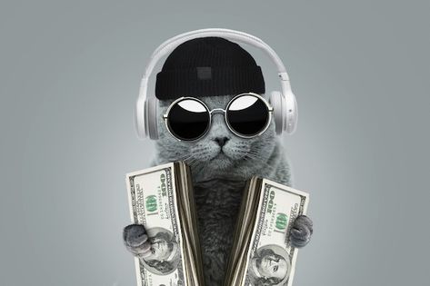 Rich Cat Aesthetic, Cat With Money, Money Lover, Photo Money, Freedom Images, Rich Cat, Cat Money, Money Funny, Happy Money