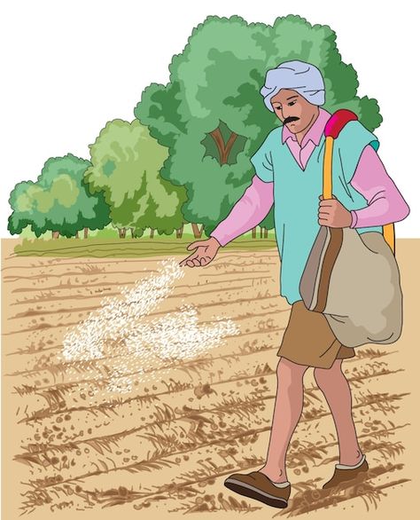 Farmer Working In Field Drawing, Farmer Poster Design, Agriculture Drawing Easy, Farmers Pictures, Farmer Drawing Easy, Farmers Illustration, Agriculture Painting, Farmer Pictures, Farming Drawing