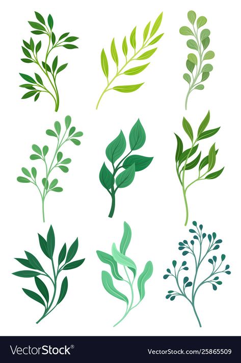 Leaves Vector Illustrations, Adobe Illustrator Flowers, Leaves Illustration Pattern, Types Of Leaves Drawing, Flowers Vector Illustration, Plant Illustration Simple, Leave Illustration, Leave Drawing, Fiori Art Deco