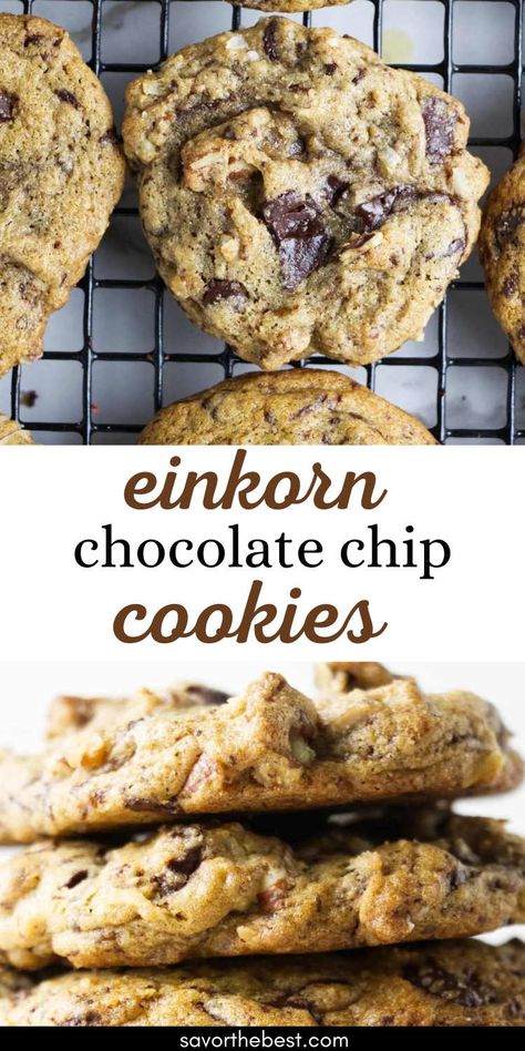 Einkorn chocolate chip cookies on a rack. Einkorn Flour Cookies, Eikhorn Flour Recipes, Einkorn Chocolate Chip Cookies, Einkorn Flour Recipes, Einkorn Crackers, Einkorn Recipe, Einkorn Biscuits, Einkorn Cookies, Flour Desserts