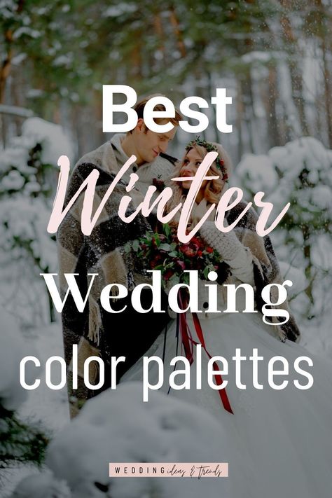 Gray Winter Wedding Colors, Snowy Wedding Color Palette, Winter Wedding 2023 Colors, Winter Colors For Wedding, Wedding Color Schemes For February, Weddings In January Ideas, Wedding Party Colors Winter, Winter Color Schemes Wedding, Wedding Decor Winter Theme